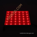 /msite/products/detail/productid/56644932/id/532711.html